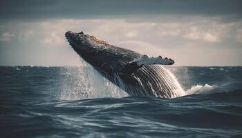 cerca arriba de majestuoso jorobado ballena incumplimiento en azul aguas generado por ai foto