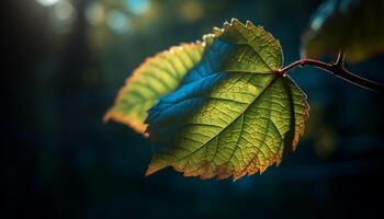 The leaf vein illuminated by sunlight, a transparent drop generated by AI photo