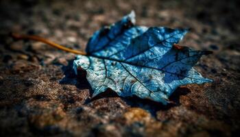 Autumn beauty in nature vibrant colors, falling leaves, abstract patterns generated by AI photo