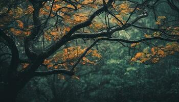 In the spooky forest, yellow leaves fall on dark branches generated by AI photo