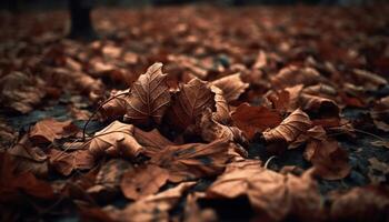 Vibrant autumn colors of a maple tree in defocused background generated by AI photo