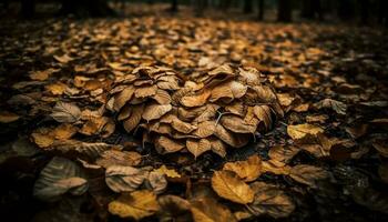 vibrante otoño hojas descendente, creando un vistoso bosque paisaje generado por ai foto