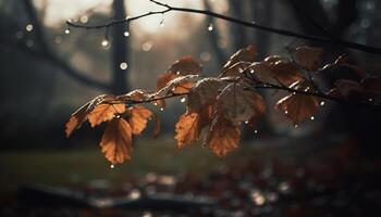 Vibrant autumn leaves on wet branches create natural beauty outdoors generated by AI photo