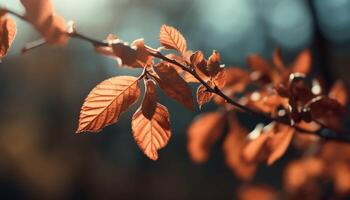 Vibrant autumn foliage on maple tree, backlit by sunlight generated by AI photo