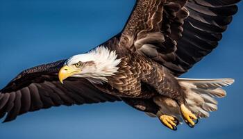 The majestic bald eagle, symbol of American patriotism, soars mid air generated by AI photo