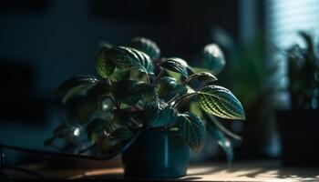 Fresco verde planta en florero en de madera mesa, adentro generado por ai foto