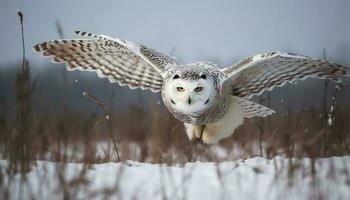 Snowy owl perching on branch, spread wings in tranquil forest generated by AI photo