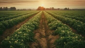 Agriculture industry thrives in idyllic rural scene with vibrant growth generated by AI photo