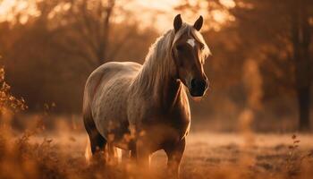 The majestic stallion grazes in the tranquil meadow at sunset generated by AI photo