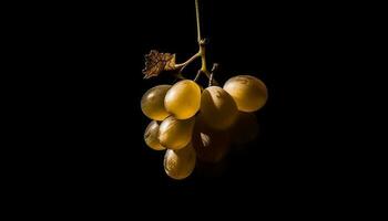 Juicy ripe grapes hang from green vineyard branch, refreshing snack generated by AI photo