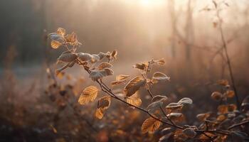 Golden leaves adorn the tree, autumn beauty in nature generated by AI photo