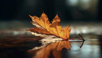 Vibrant maple leaf falls on wet pond in autumn forest generated by AI photo