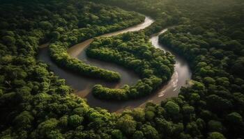 Tranquil autumn meadow reflects beauty in nature from high above generated by AI photo