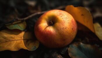 maduro, amarillo manzana en rama simboliza otoño frescura y salud generado por ai foto