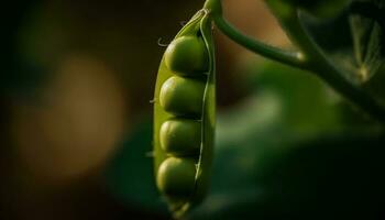 Fresh green leaf with dew drop, a macro beauty in nature generated by AI photo