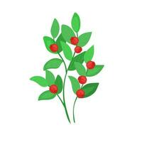 A green forest plant with red berries. A small lingonberry bush with berries in cartoon style is isolated on a white background. vector