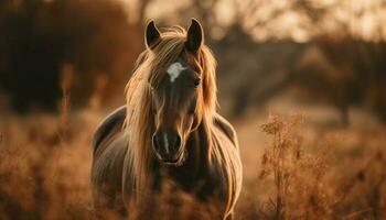 Stallion grazes in tranquil meadow, mane flowing in sunlight generated by AI photo