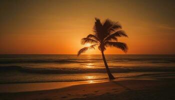 Tranquil silhouette of palm tree, back lit by sunset beauty generated by AI photo