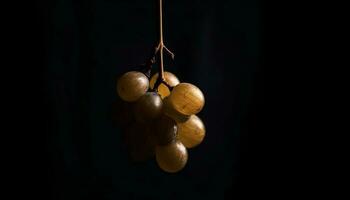 Ripe grapes hanging on branch, on black background generated by AI photo