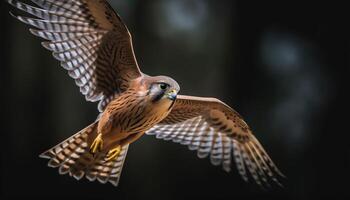 el majestuoso pájaro de presa perchas, mirando a el cámara generado por ai foto