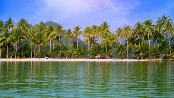 hermosa Coco palma arboles en un blanco arena playa en el isla sur de tailandia relajante día a el playa para antecedentes foto