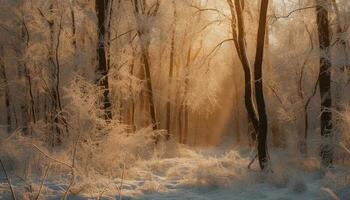 un tranquilo escena de un invierno bosque, congelado en belleza generado por ai foto