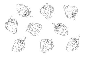 Strawberries set. Diet organic products. Different berries in sketch style for coloring book. vector