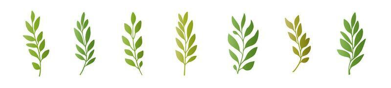 Olive Branch Vector Art, Icons, and Graphics for Free Download