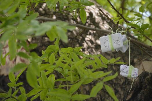Some notes hanging from a branch of a tree photo