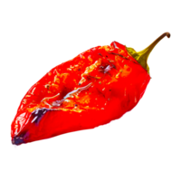 Red realistic pepper isolated on transparent background png