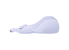 Lazy polar bear lying stretching out front legs flat style png