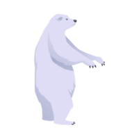 Polar bear stands on its hind legs, flat illustration isolated png
