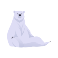 Polar Arctic circle bear animal sitting in funny pose, flat isolated. png