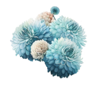 licht blauw helder waterverf bloem pompon dahlia's png