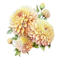 Jaune aquarelle fleur pompon dahlias. ai généré png