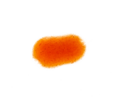 Orange chaud sauce isolé. nourriture conception élément png