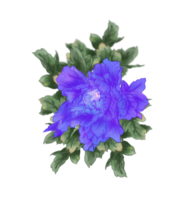 Hand painted violet peony flower included dark green leaves and blur green leaves behind. png