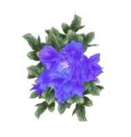 mano dipinto viola peonia fiore incluso buio verde le foglie e sfocatura verde le foglie dietro. png