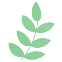 groen Liaan bladeren geïsoleerd png