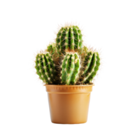 ai generated Cactus in a pot. Stock image for decorating a scene or background. png