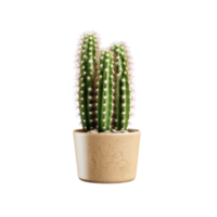 ai generated Cactus in a pot. Stock image for decorating a scene or background. png