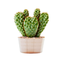 ai generated Cactus in a pot. Stock image for decorating a scene or background. png