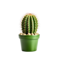 ai generated Cactus in a pot. Stock image for decorating a scene or background. png