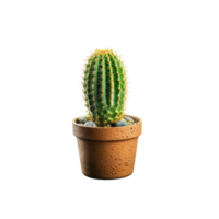 ai generated Cactus in a pot. Stock image for decorating a scene or background. png