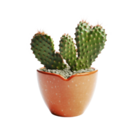 ai generated Cactus in a pot. Stock image for decorating a scene or background. png