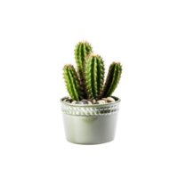 ai gegenereerd cactus in een pot. voorraad beeld voor decoreren een tafereel of achtergrond. png