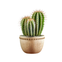 ai generated Cactus in a pot. Stock image for decorating a scene or background. png