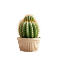 ai generated Cactus in a pot. Stock image for decorating a scene or background. png