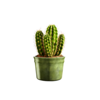 ai generated Cactus in a pot. Stock image for decorating a scene or background. png