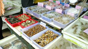 ásia mulheres comprando e vendendo fresco peixe às rua frutos do mar mercado video